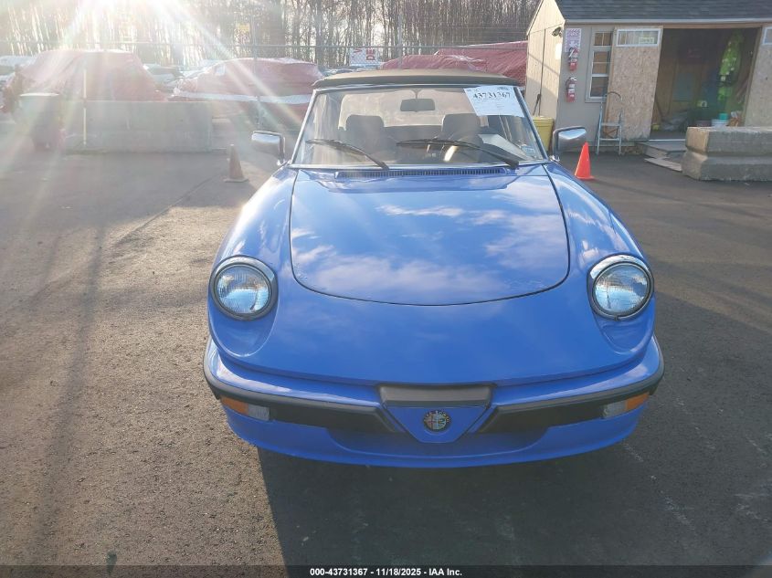 1987 Alfa Romeo Spider Quadrifoglio VIN: ZARBA5564H1052551 Lot: 43731367