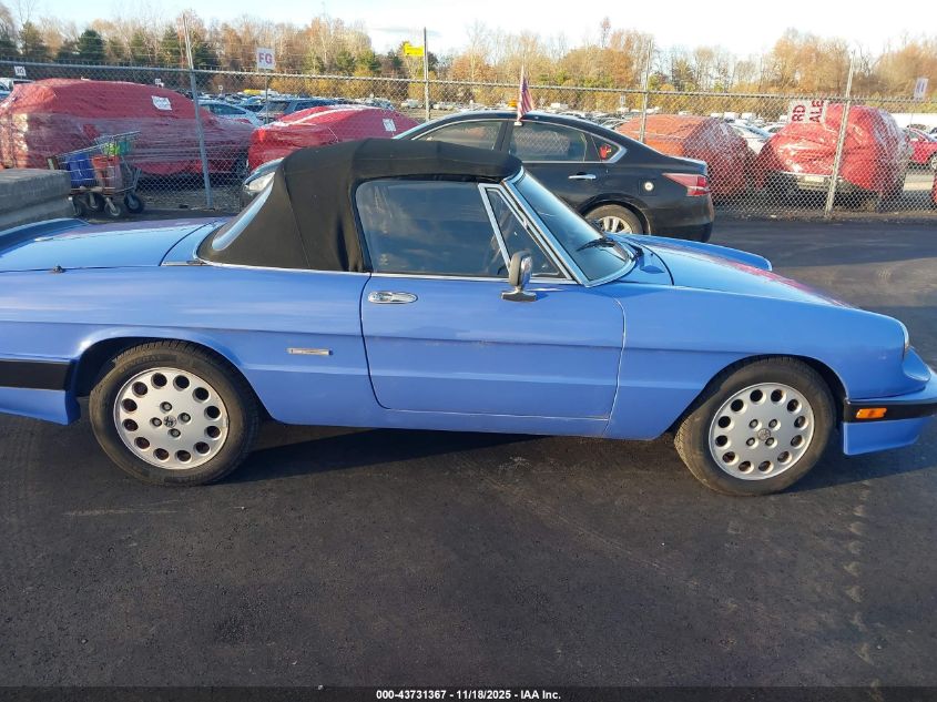 1987 Alfa Romeo Spider Quadrifoglio VIN: ZARBA5564H1052551 Lot: 43731367