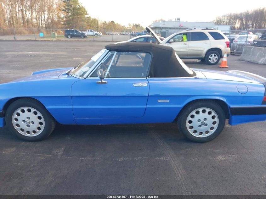 1987 Alfa Romeo Spider Quadrifoglio VIN: ZARBA5564H1052551 Lot: 43731367