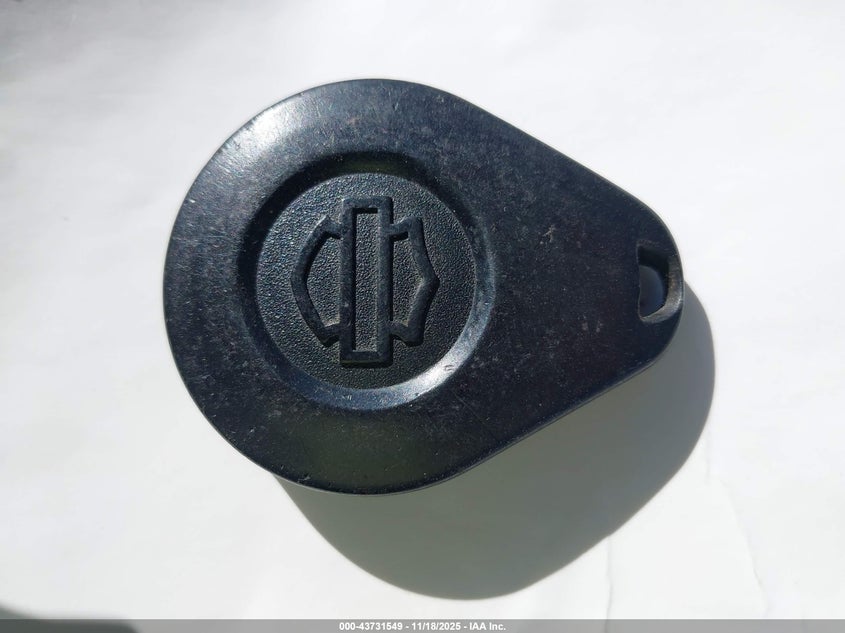 2020 Harley-Davidson Fltrxs VIN: 1HD1KTP16LB619384 Lot: 43731549