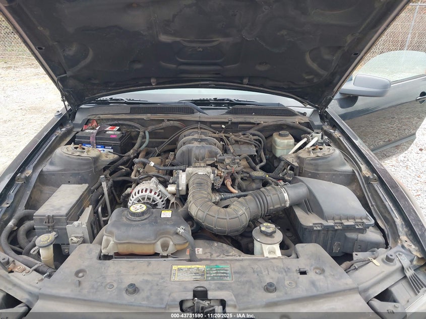 2006 Ford Mustang V6 VIN: 1ZVFT80N765158890 Lot: 43731590