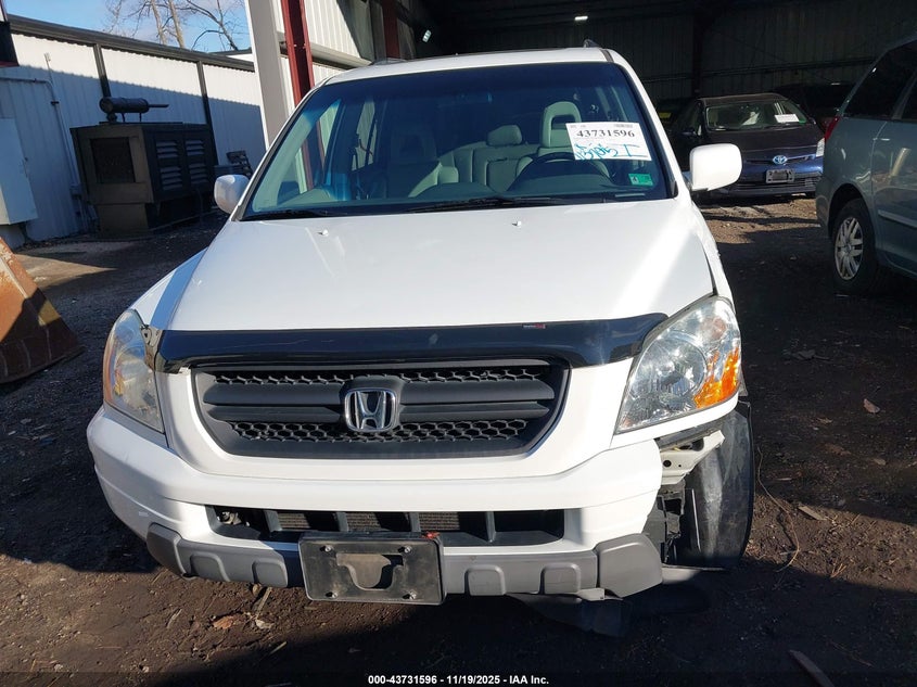 2005 Honda Pilot Ex-L VIN: 5FNYF18505B053152 Lot: 43731596