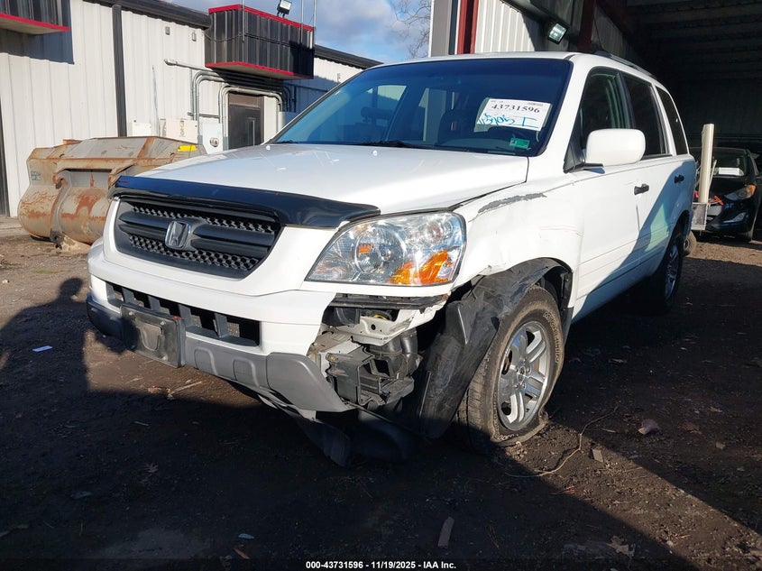 2005 Honda Pilot Ex-L VIN: 5FNYF18505B053152 Lot: 43731596