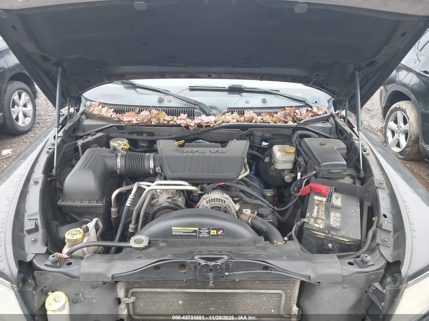 2008 Dodge Dakota Slt VIN: 1D7HW48N08S535327 Lot: 43731851