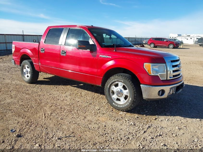 FORD F-150 FX2 SPORT/XL/XLT