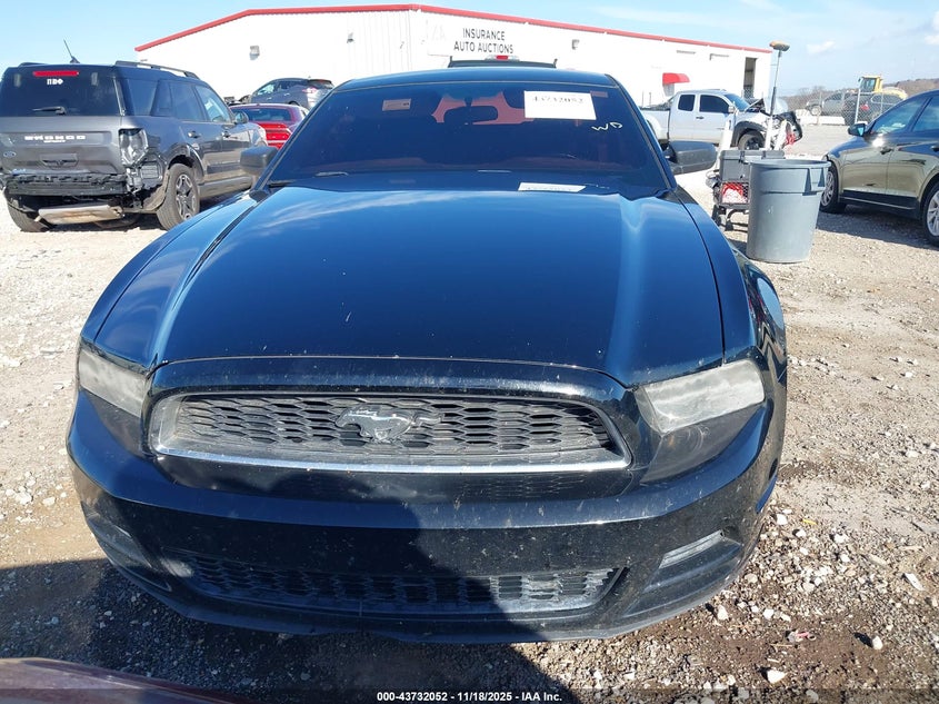 2013 Ford Mustang V6 VIN: 1ZVBP8AM3D5226530 Lot: 43732052