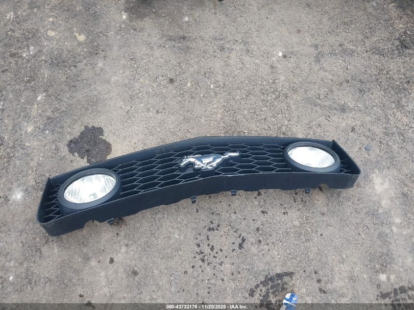 2009 Ford Mustang V6/V6 Premium VIN: 1ZVHT80N795118080 Lot: 43732176