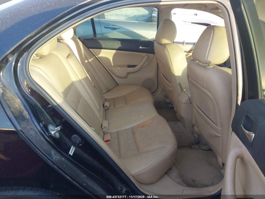 2008 Acura Tsx VIN: JH4CL96818C006050 Lot: 43732177