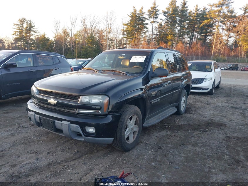 2002 Chevrolet Trailblazer Ltz VIN: 1GNDT13SX22510561 Lot: 43732470
