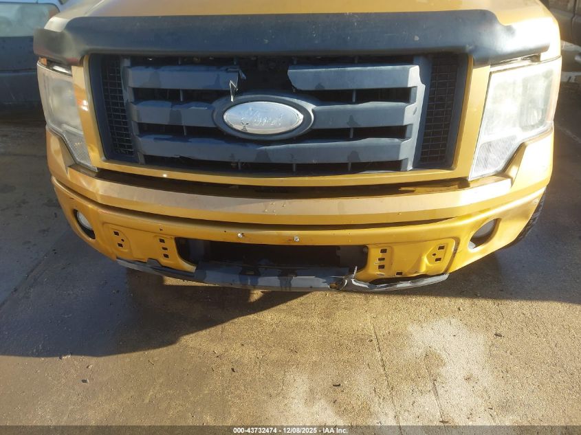 2009 Ford F-150 Stx/Xl/Xlt VIN: 1FTRF12W59KB06670 Lot: 43732474