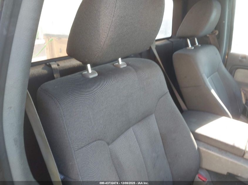 2009 Ford F-150 Stx/Xl/Xlt VIN: 1FTRF12W59KB06670 Lot: 43732474