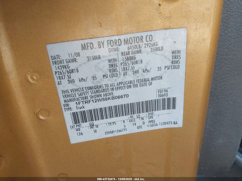 2009 Ford F-150 Stx/Xl/Xlt VIN: 1FTRF12W59KB06670 Lot: 43732474
