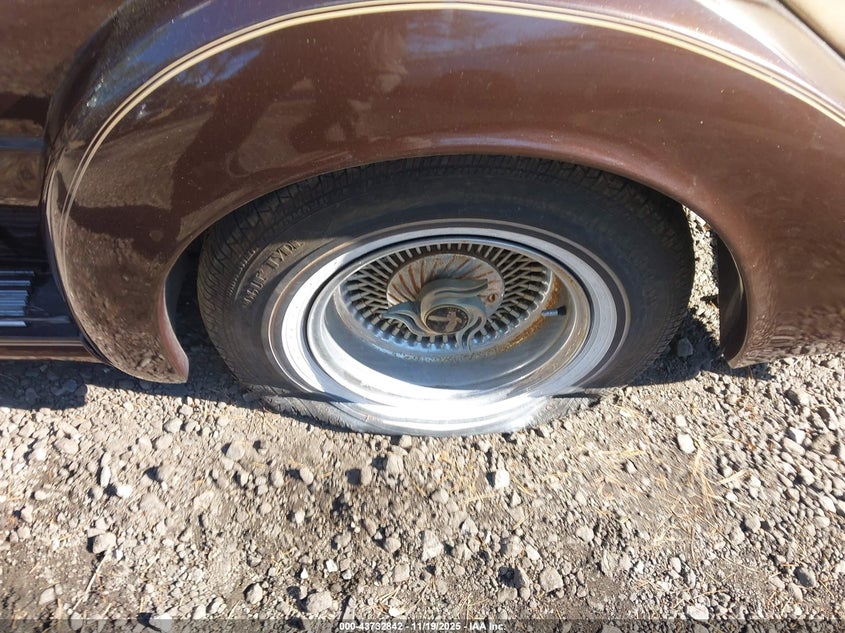 1982 Ford Mustang VIN: 1FABP10D9CF145395 Lot: 43732842