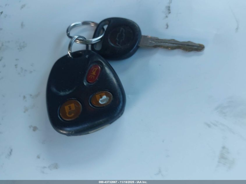 2003 Chevrolet Avalanche K1500 VIN: 3GNEK13T43G185883 Lot: 43732867