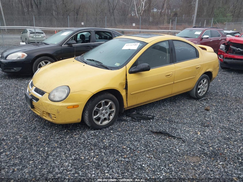 1B3ES56C03D190668 2003 DODGE NEON photo no. 2