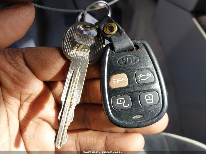 2006 Kia Sorento Ex/Lx VIN: KNDJC733465629590 Lot: 43732965