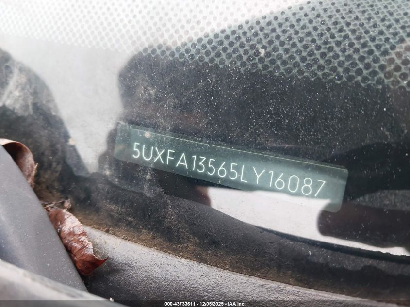 2005 BMW X5 3.0I VIN: 5UXFA13565LY16087 Lot: 43733611