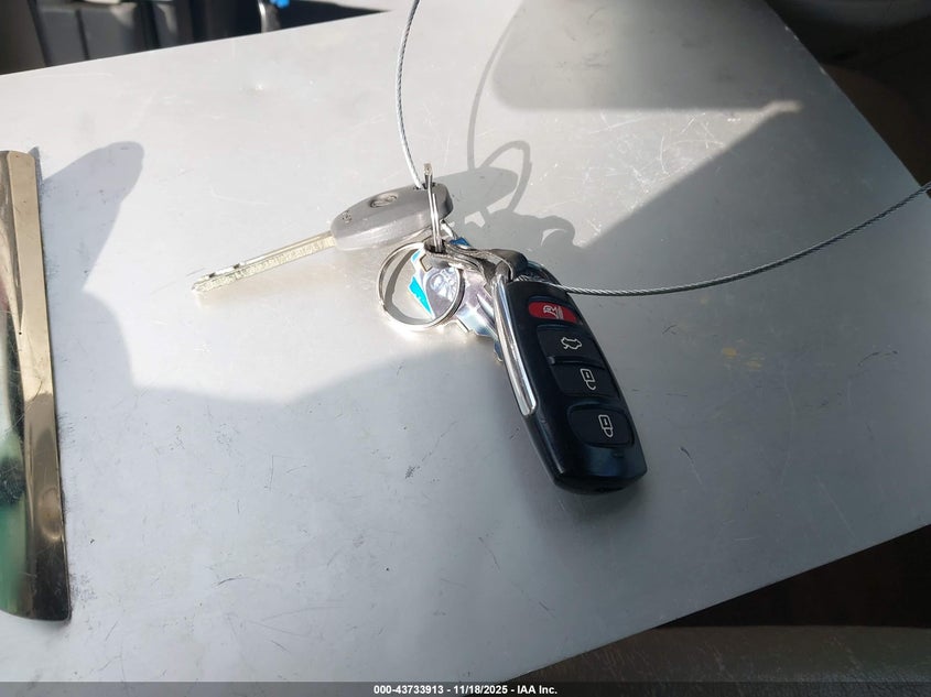 2008 Hyundai Azera Limited VIN: KMHFC46F28A319910 Lot: 43733913