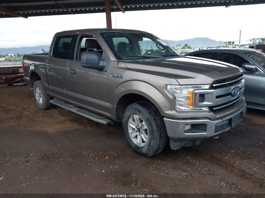 FORD F-150 XLT