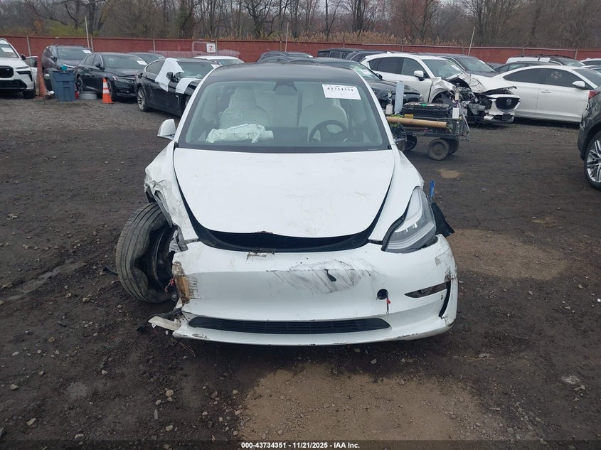 2020 Tesla Model 3 Standard Range Plus Rear-Wheel Drive/Standard Range Rear-Wheel Drive VIN: 5YJ3E1EA5LF615610 Lot: 43734351