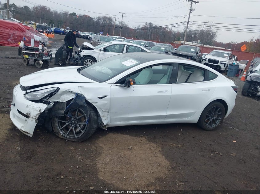 2020 Tesla Model 3 Standard Range Plus Rear-Wheel Drive/Standard Range Rear-Wheel Drive VIN: 5YJ3E1EA5LF615610 Lot: 43734351