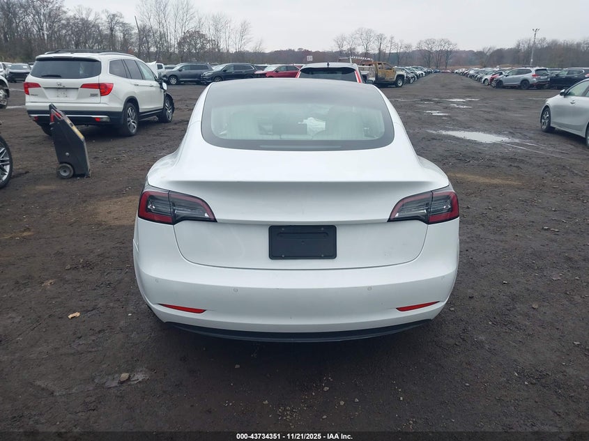 2020 Tesla Model 3 Standard Range Plus Rear-Wheel Drive/Standard Range Rear-Wheel Drive VIN: 5YJ3E1EA5LF615610 Lot: 43734351
