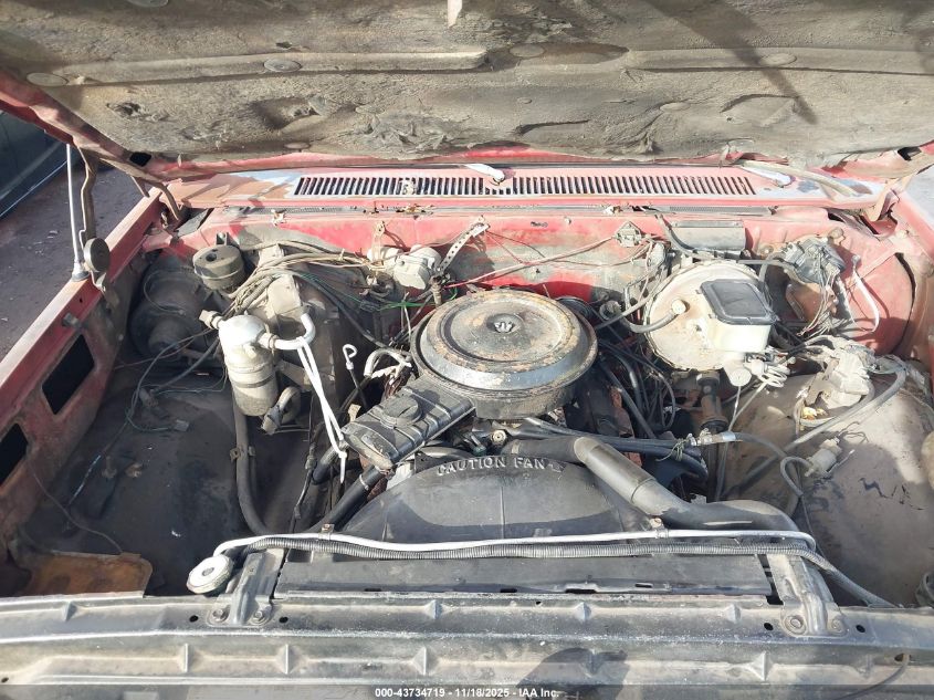 1981 GMC C1500 VIN: 1GTDC14H9BJ514862 Lot: 43734719