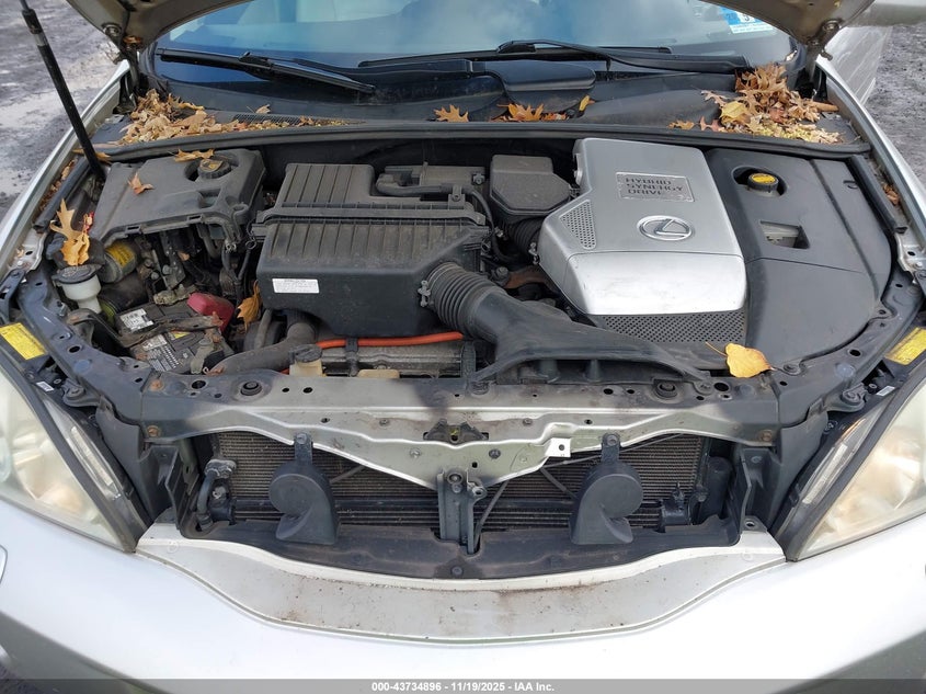 2006 Lexus Rx 400H VIN: JTJHW31U762004075 Lot: 43734896