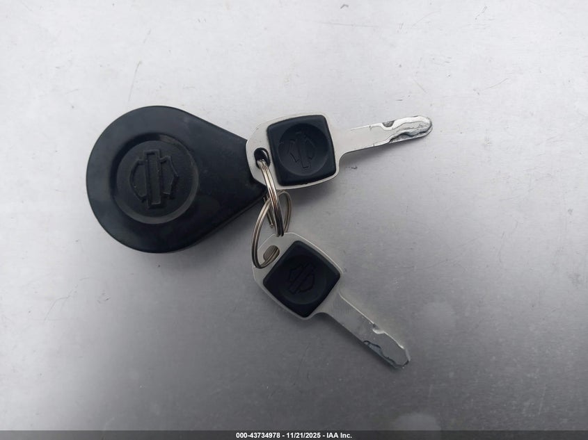 2022 Harley-Davidson Fxlrst VIN: 1HD1YXZ16NB052101 Lot: 43734978