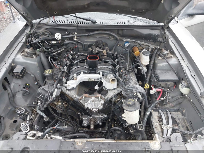 2002 Ford Mustang Gt VIN: 1FAFP45X82F234833 Lot: 43735450