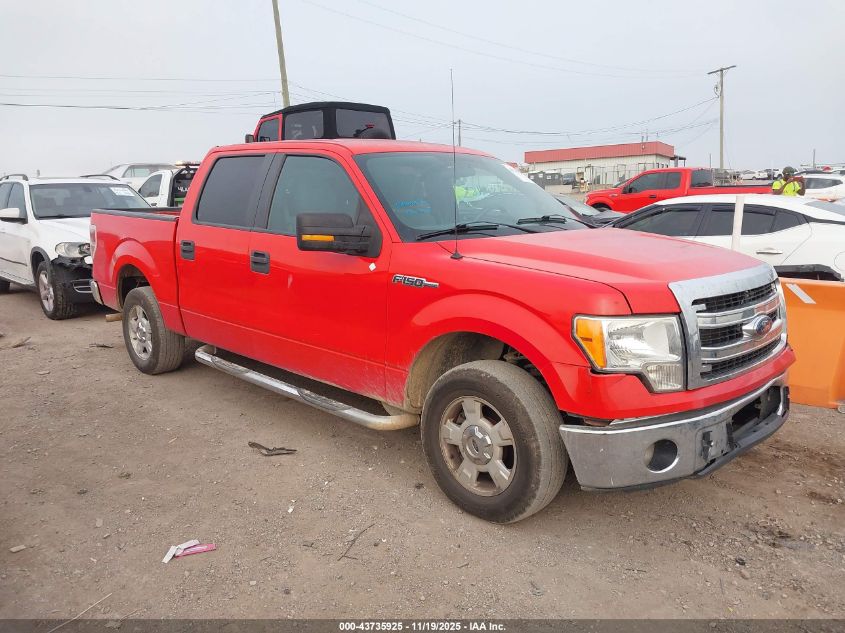 FORD F-150 XLT