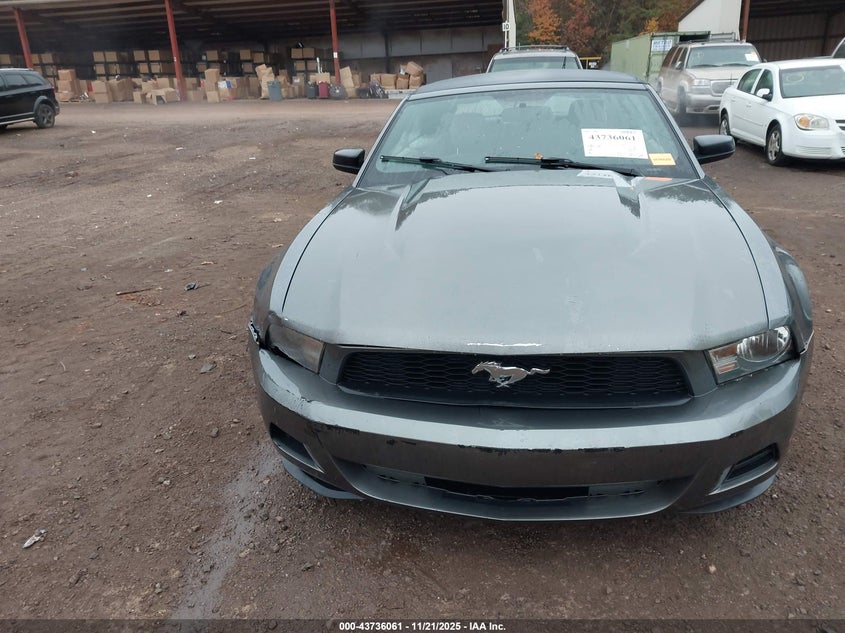 2010 Ford Mustang V6/V6 Premium VIN: 1ZVBP8EN7A5107670 Lot: 43736061