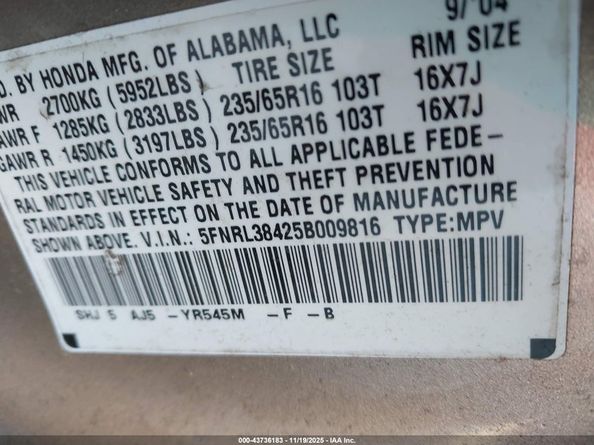 2005 Honda Odyssey Ex VIN: 5FNRL38425B009816 Lot: 43736183