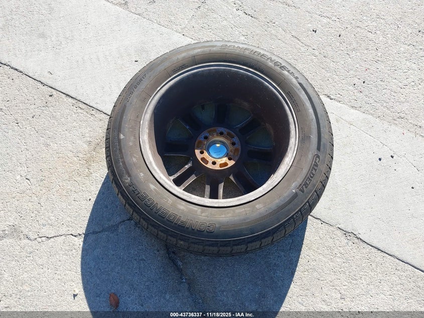 1998 Dodge Dakota Slt/Sport VIN: 1B7FL26X8WS515505 Lot: 43736337