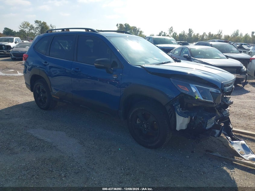 SUBARU FORESTER WILDERNESS