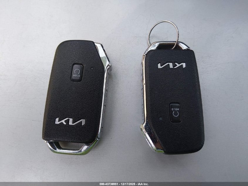 2022 Kia Telluride Sx VIN: 5XYP5DHC3NG282075 Lot: 43736951