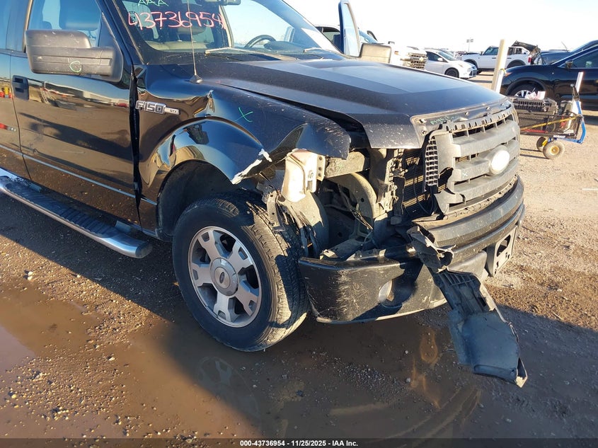 2009 Ford F-150 Stx VIN: 1FTRX12839KB82869 Lot: 43736954