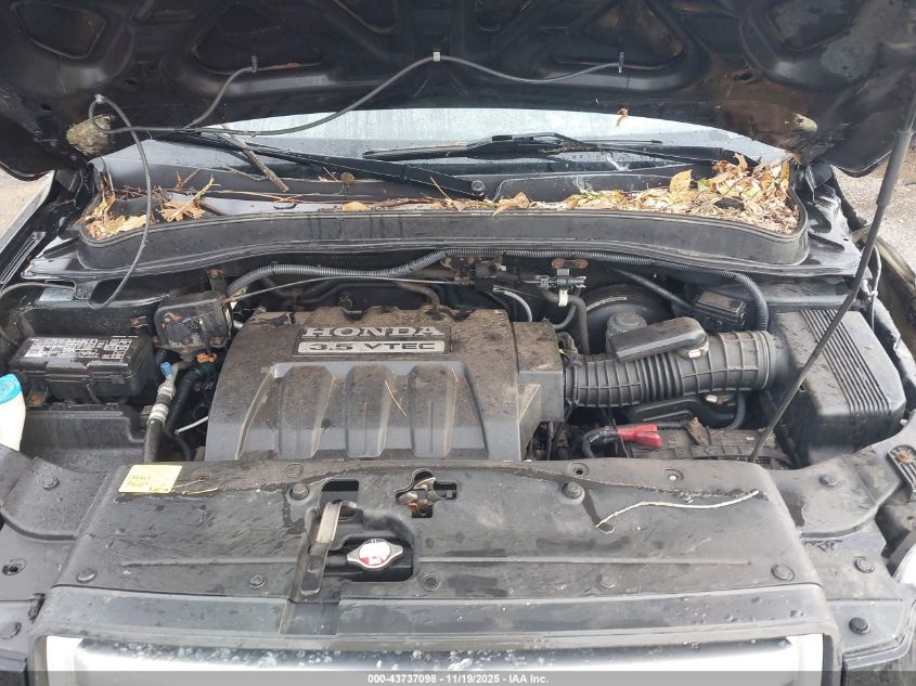 2006 Honda Pilot Ex-L VIN: 5FNYF18566B004622 Lot: 43737098