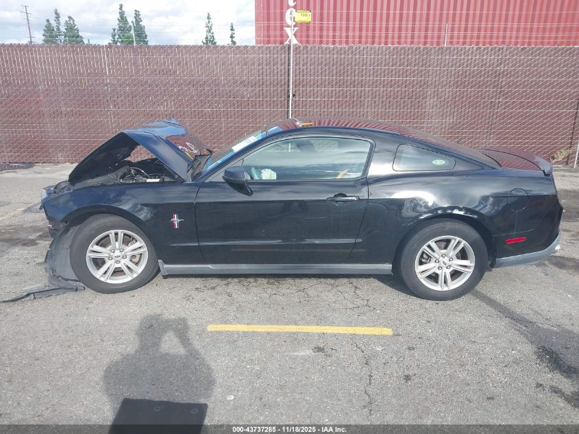 2011 Ford Mustang V6 VIN: 1ZVBP8AM7B5153918 Lot: 43737285