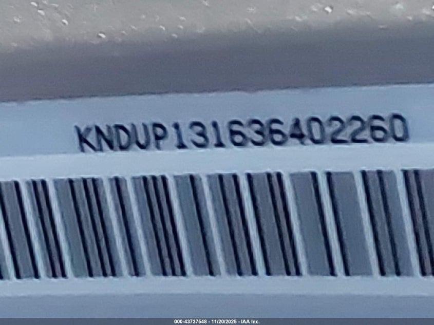 2003 Kia Sedona Ex/Lx VIN: KNDUP131636402260 Lot: 43737548