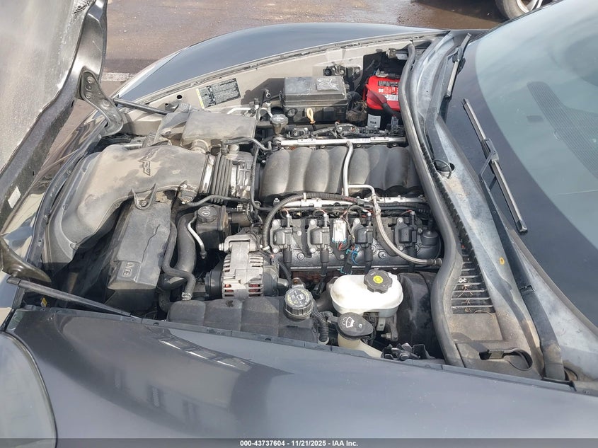 2009 Chevrolet Corvette VIN: 1G1YY26W395101951 Lot: 43737604