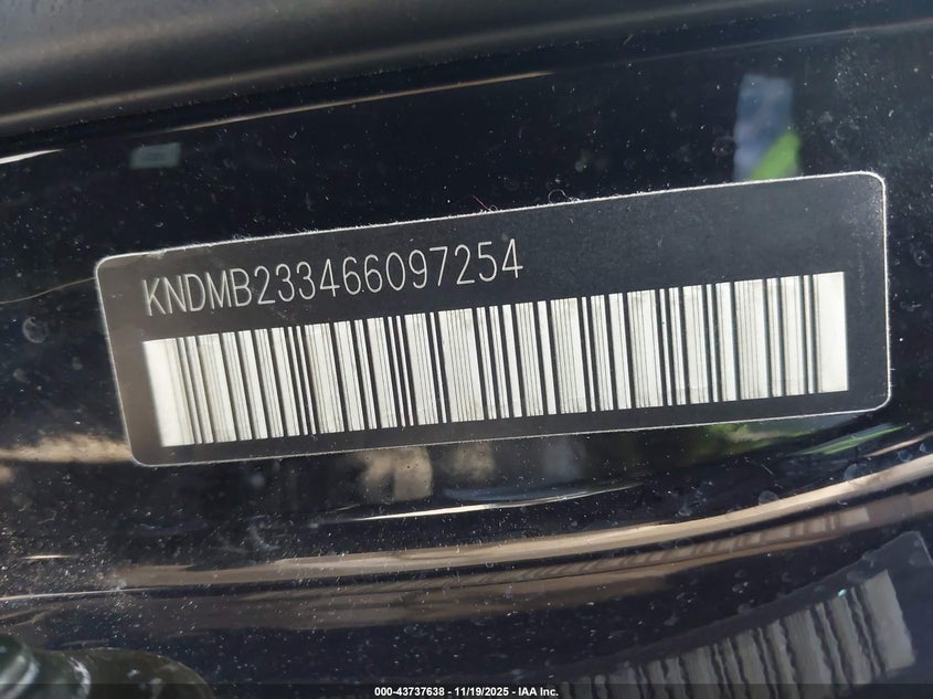 2006 Kia Sedona Ex/Lx VIN: KNDMB233466097254 Lot: 43737638