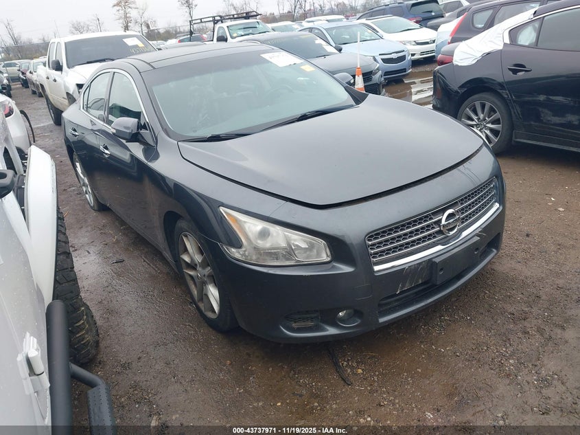 NISSAN MAXIMA 3.5 SV