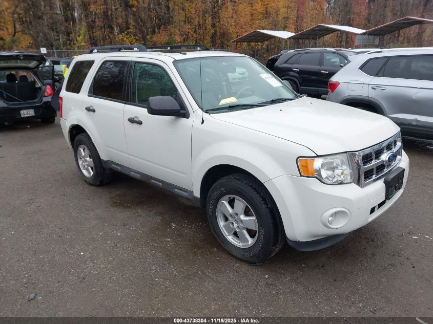FORD ESCAPE XLT