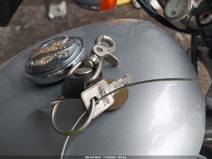 1999 Harley-Davidson Xl1200 VIN: 1HD1CAP13XK135891 Lot: 43738447