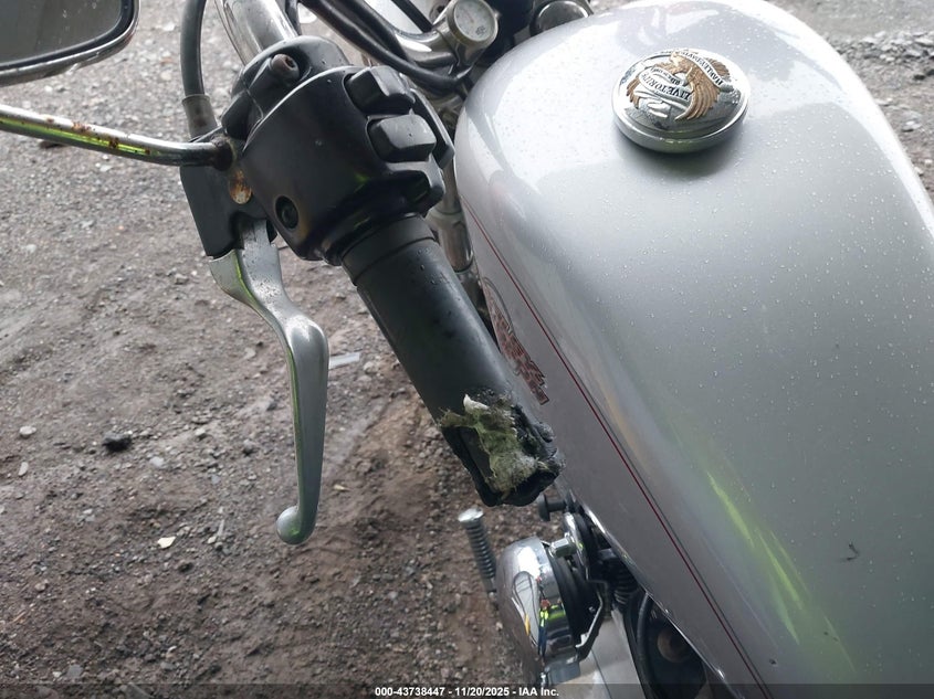 1999 Harley-Davidson Xl1200 VIN: 1HD1CAP13XK135891 Lot: 43738447