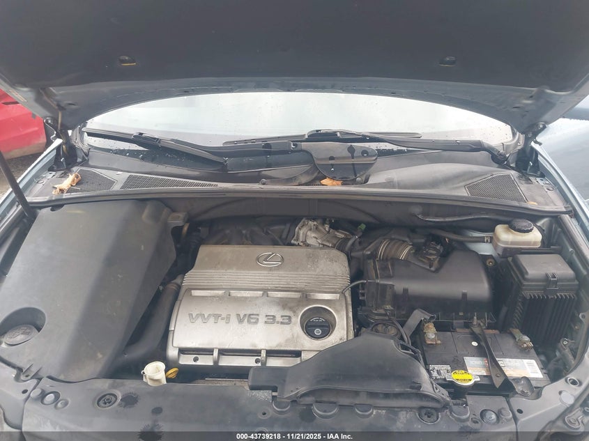 2004 Lexus Rx 330 VIN: JTJGA31U740004242 Lot: 43739218