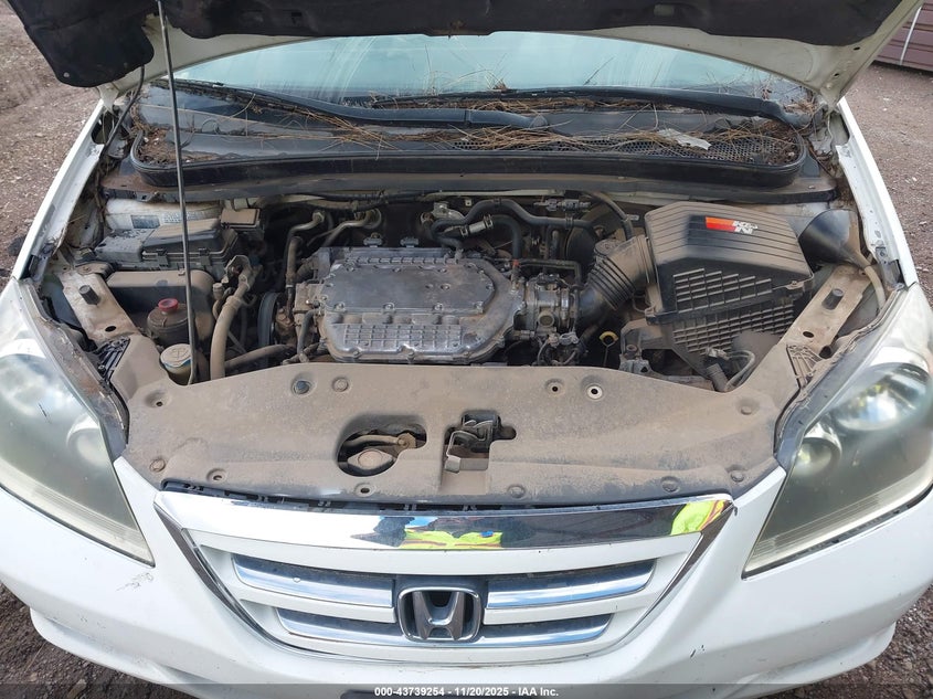 2006 Honda Odyssey Ex-L VIN: 5FNRL38676B439358 Lot: 43739254