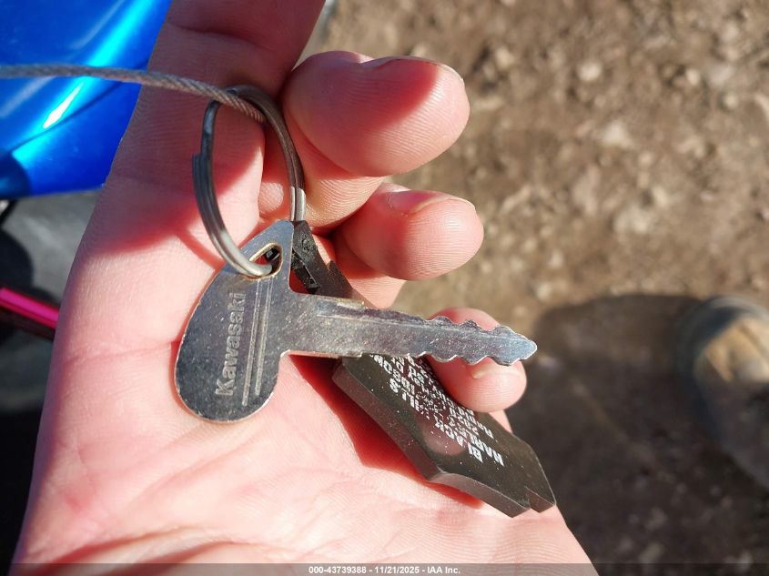 2009 Kawasaki Vn900 B VIN: JKAVN2B199A049708 Lot: 43739388