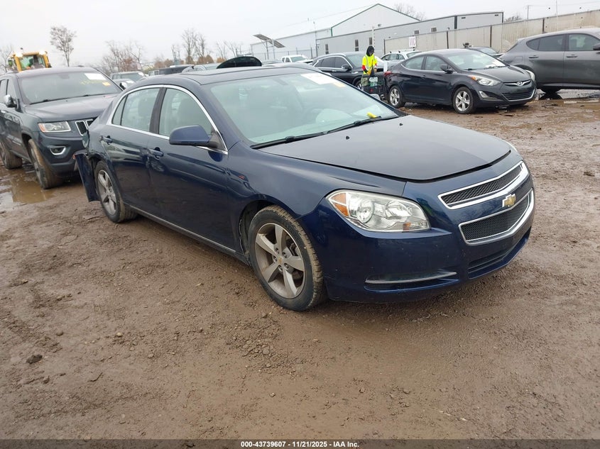CHEVROLET MALIBU 1LT